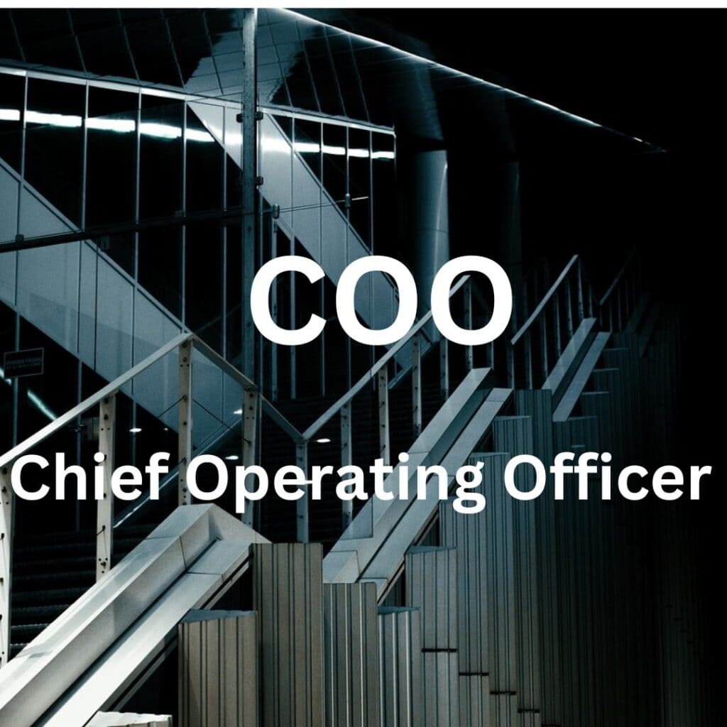 Understanding the Role and Benefits of a Fractional COO